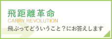 飛距離革命
